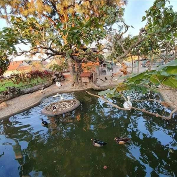 Apartman Normanci Near Bizovac Thermal Spa Dış mekan fotoğraf